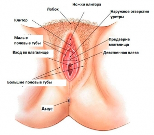 Воспаление мочевого канала у женщин